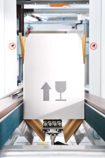 Semi Automatic Case Sealer: WMT 303 SD - Image 4